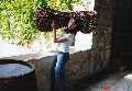 Clos de Vougeot